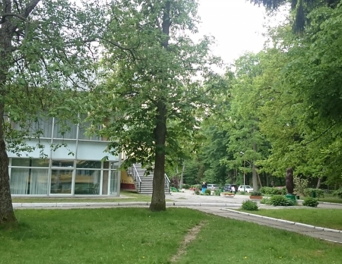 Санаторий «Отрадное» Светлогорск